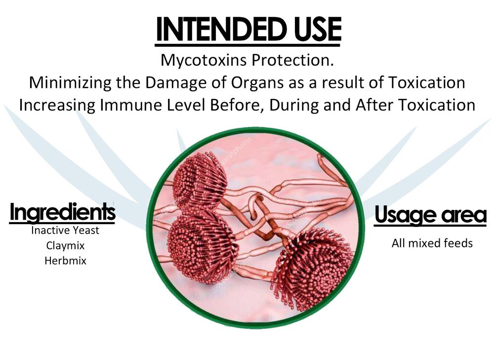 TOXIMOT PLUS